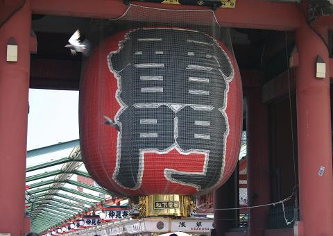 picture of Tokyo Tower