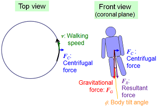 body tilt correction