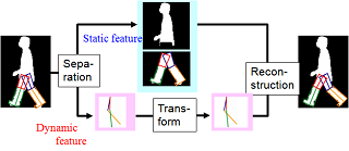 speed invariant gait