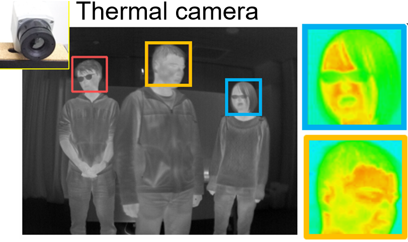 Face Detection in Thermal Image